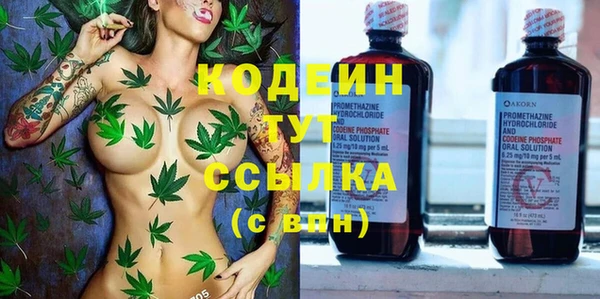 ECSTASY Алзамай